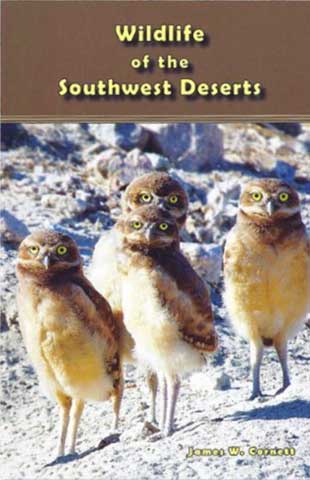 Wildlife of the Southwest Deserts